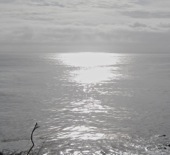 IMG_2876 - Version 3